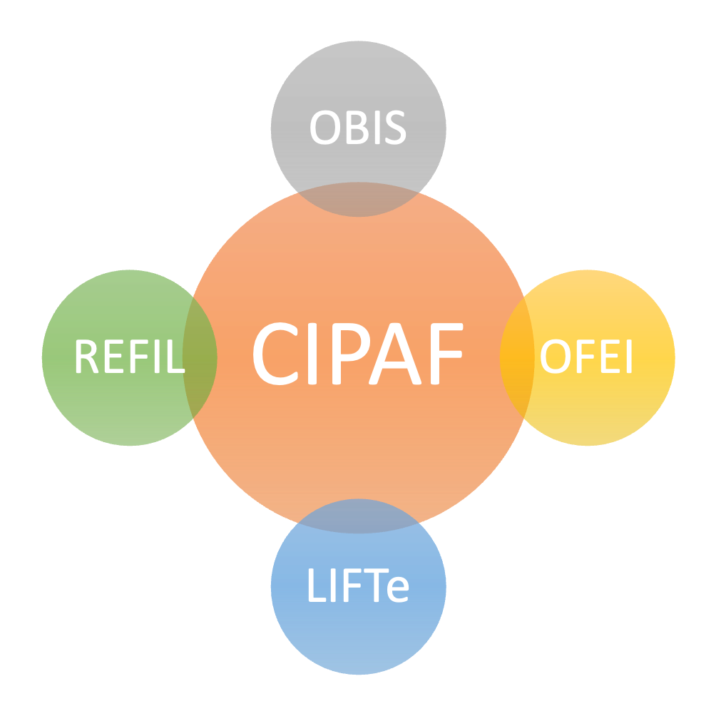 Gráfico com círculos sobrepostos ilustrando a estrutra do CIPAF.